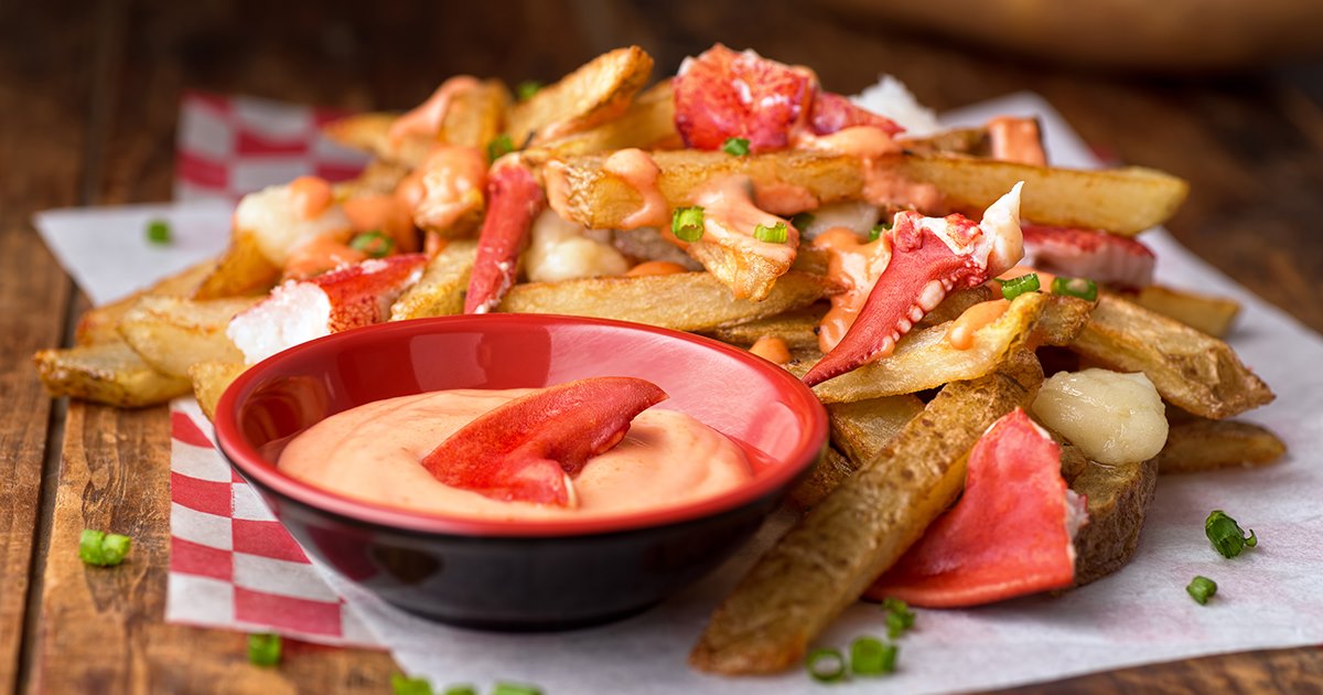 Education program